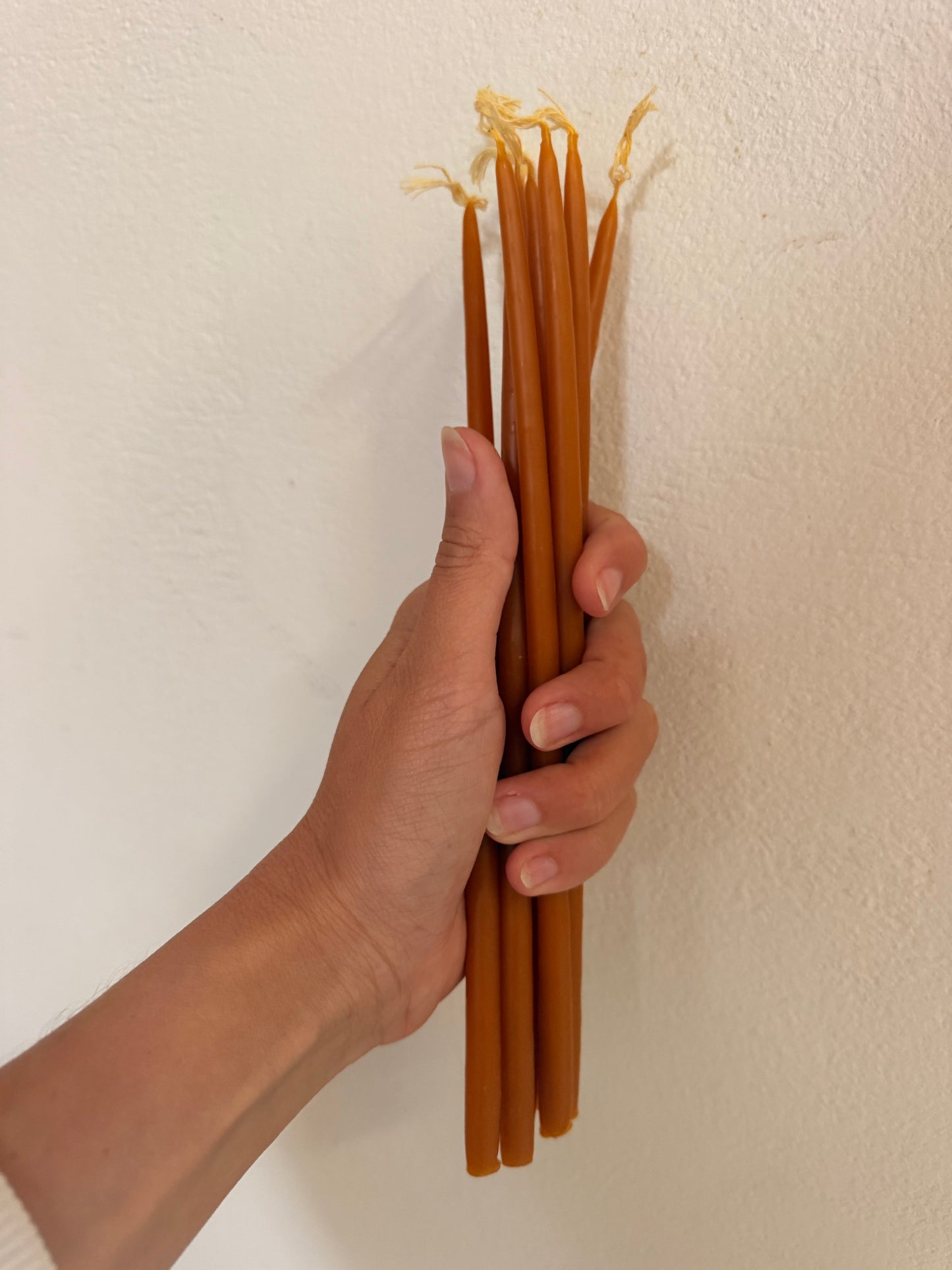 Monastery Holy Light