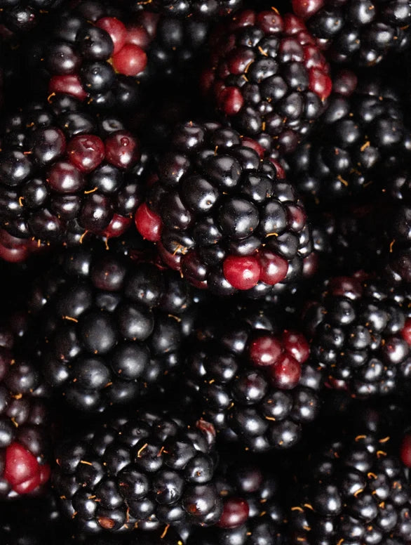 Purifying into Radiance: Glow Face Wash with Blackberry + Aloe Vera